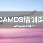 CAMDS咨询辅导