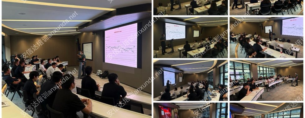 IATF16949咨询公司为松原安全系统提供ESD体系咨询与培训服务